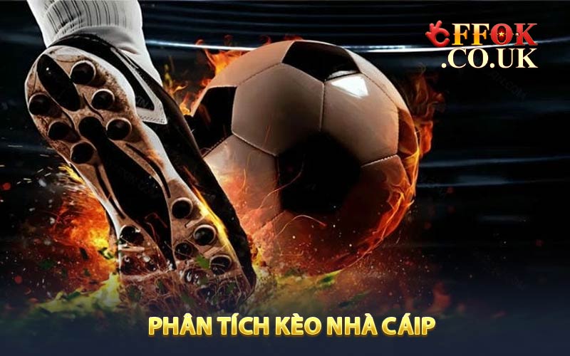 Phân Tích Kèo Nhà Cái FFOK - Bí Quyết Đọc Kèo Chuẩn Xác